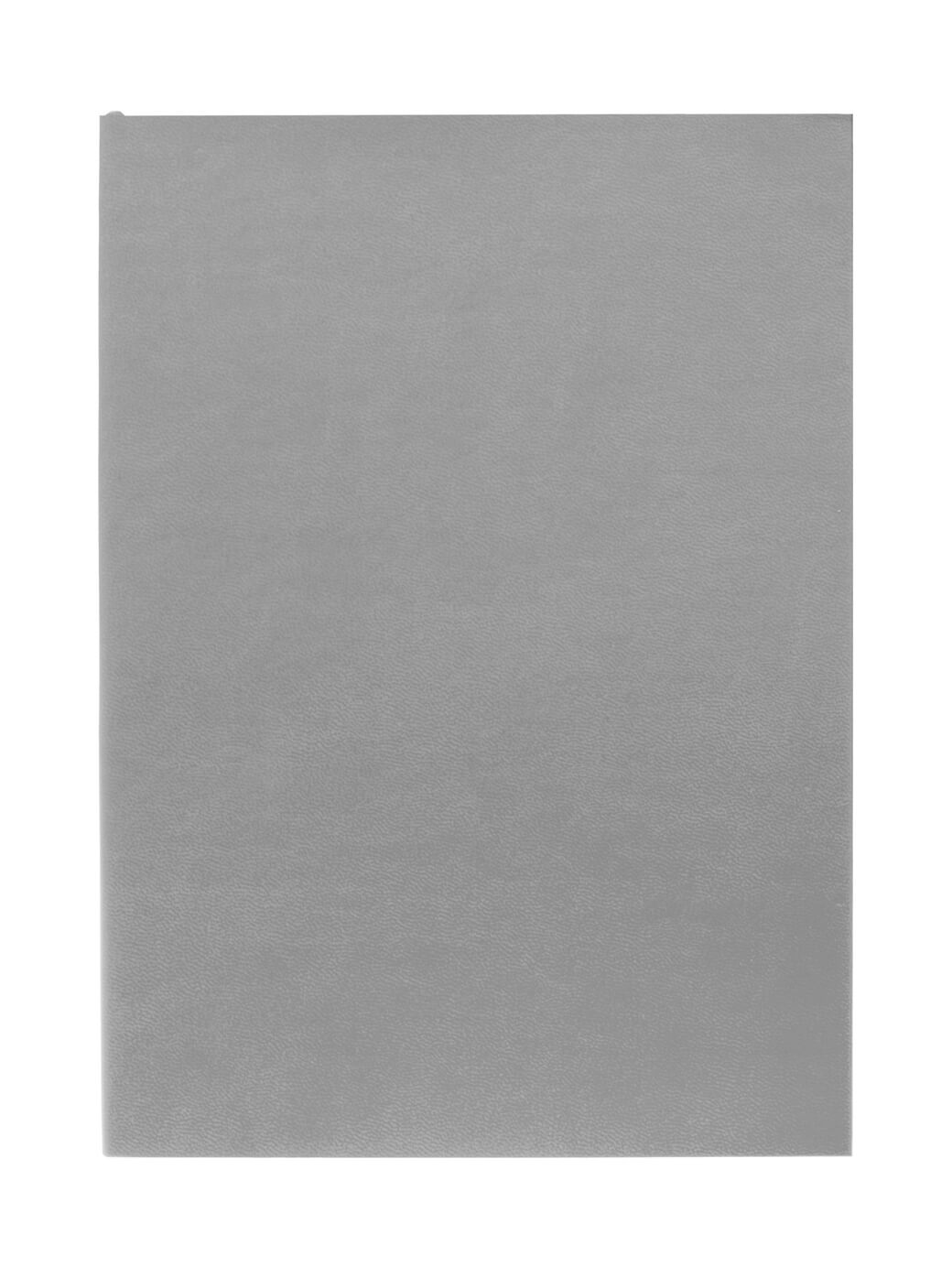 Ежедневник Flat Light, недатированный