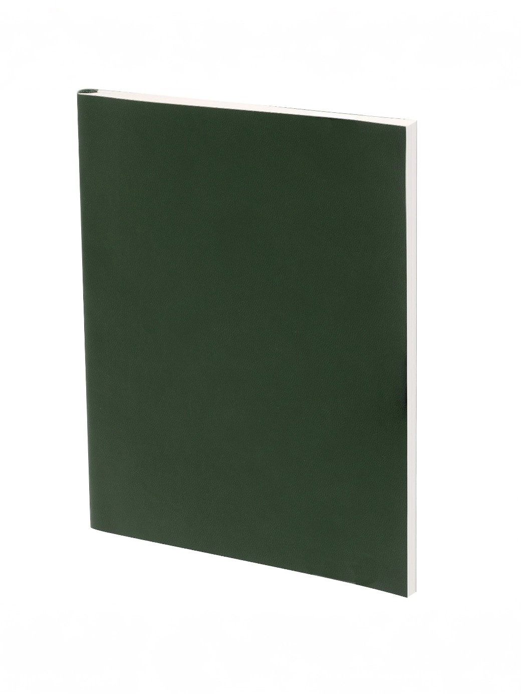 Ежедневник Flat Light, недатированный