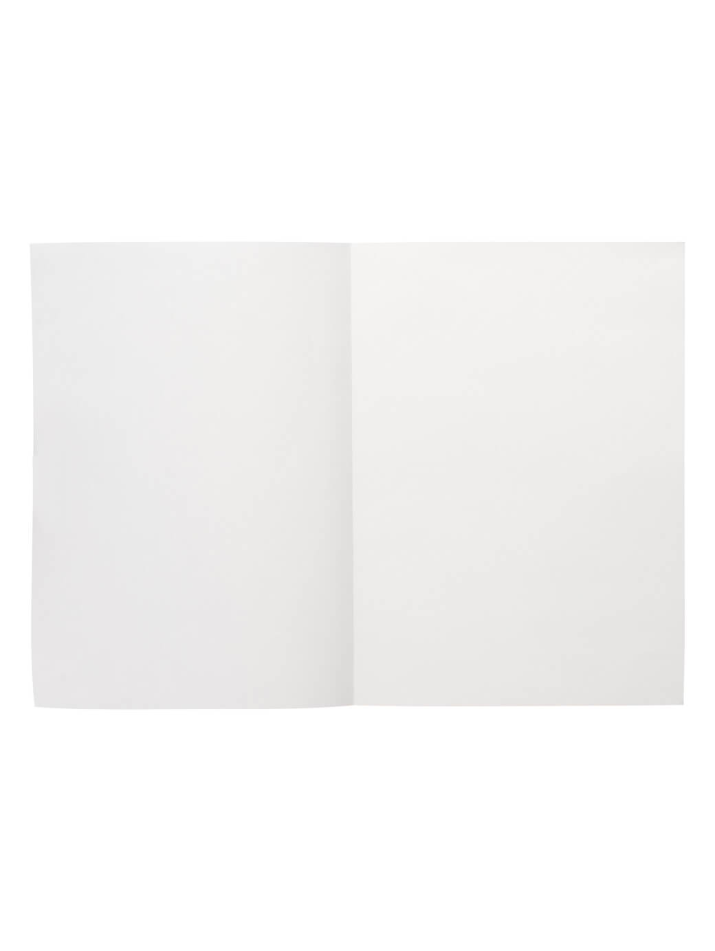 Ежедневник Flat Light, недатированный