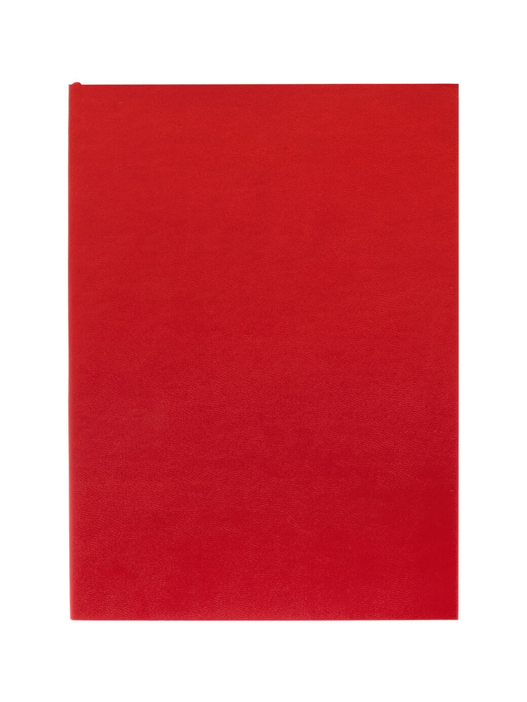 Ежедневник Flat Light, недатированный