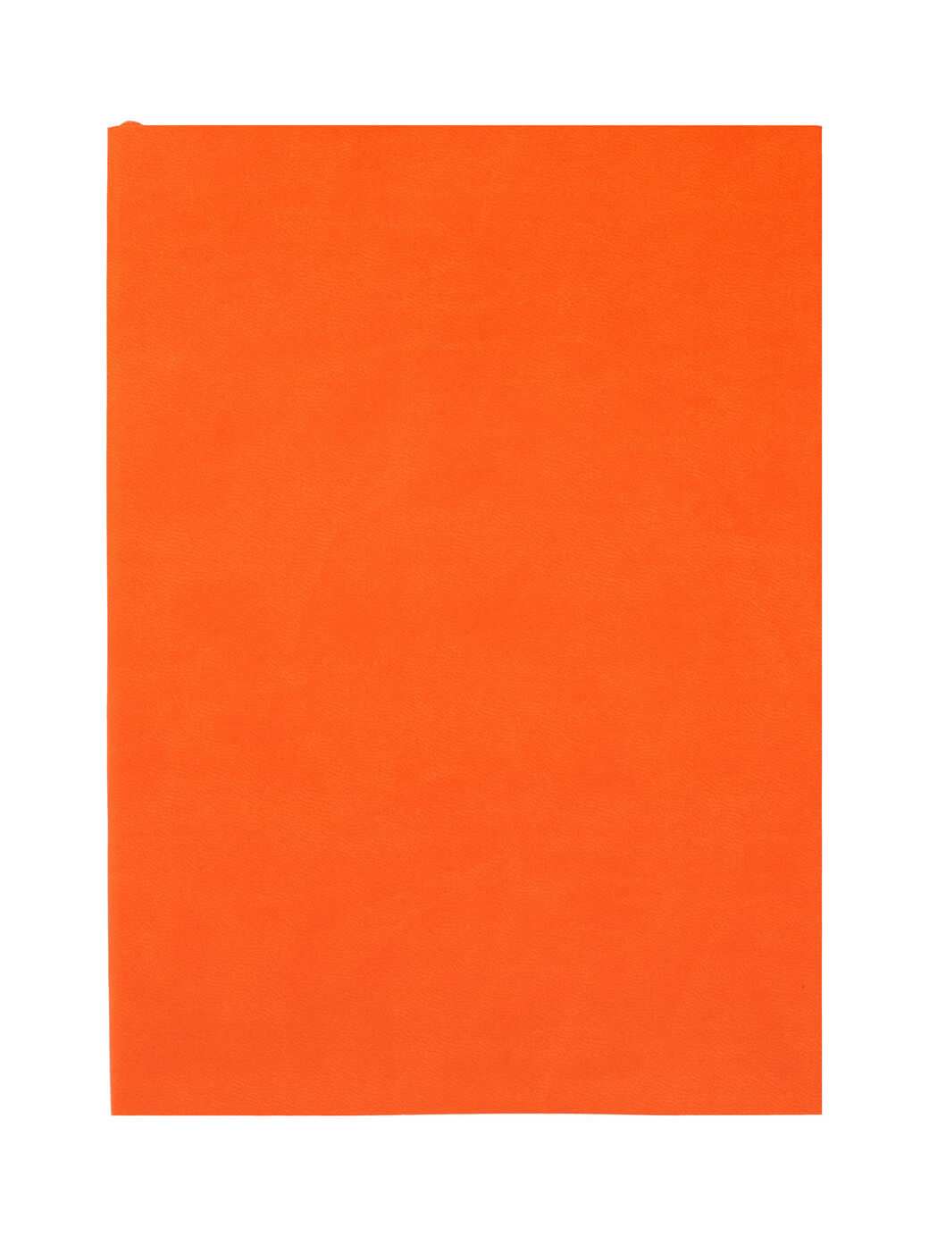 Ежедневник Flat Light, недатированный