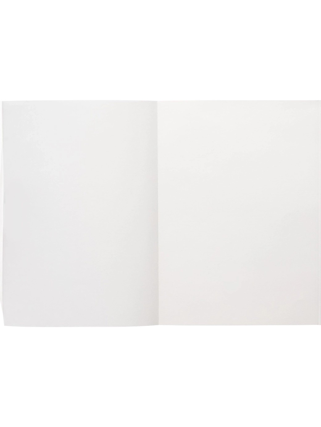 Ежедневник Flat Light, недатированный