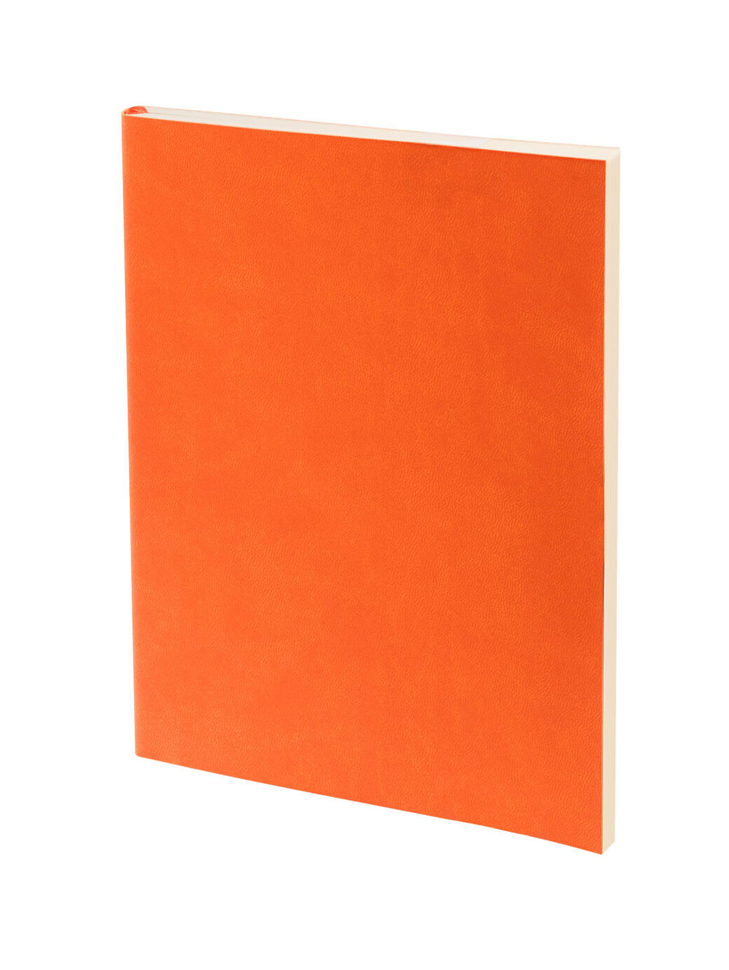 Ежедневник Flat Light, недатированный